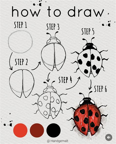 Ladybug Drawings