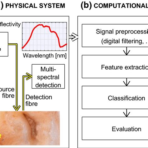 Image result for Diffuse Reflectance Spectroscopy