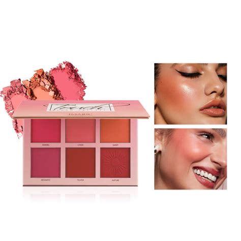 IMAGIC 6 Color Touch Blush Palette – Beauty Station
