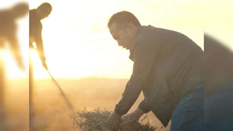 Fighting desertification: Sand town turned into oasis in China | Viral ...