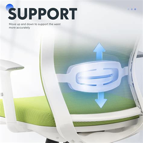 FLEXISPOT Classic Ergonomic Office Chair with High India | Ubuy