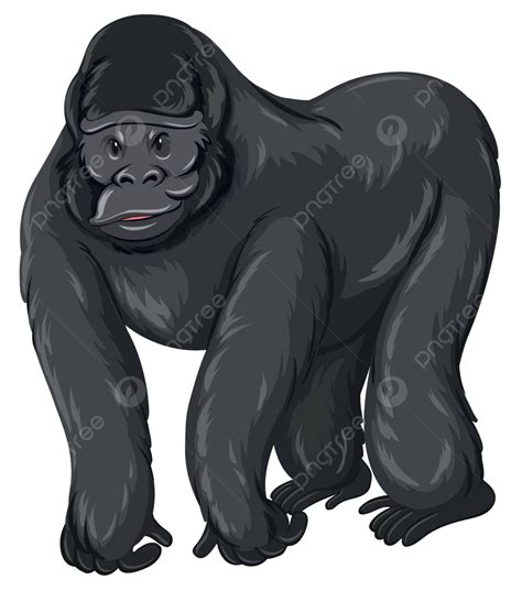 Silverback Gorilla Clipart
