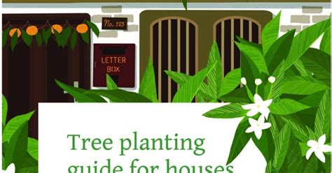 Tree Planting Guide for Houses and Apartments in Bengaluru - Azim ...
