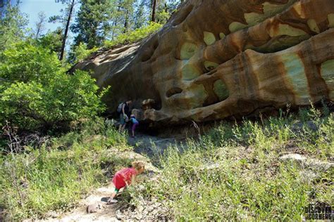 Junction Creek Campground Colorado: Reservations & Amenities
