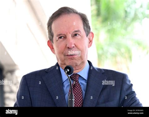 Chris Wallace Journalist