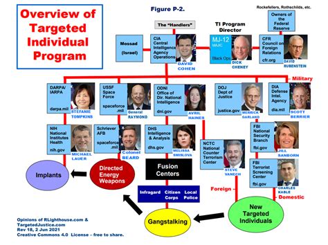 Targeted Individual Program 的图像结果