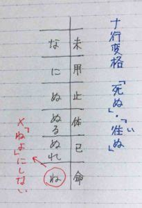 Auto Docstring Visual Studio 的图像结果