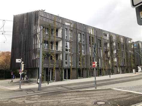 Open Field Building 的图像结果