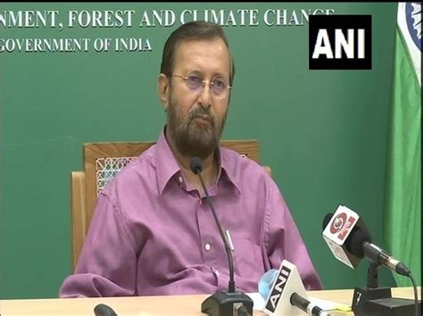 SC pulled up Delhi, West Bengal for incorrect info on Covid-orphans ...