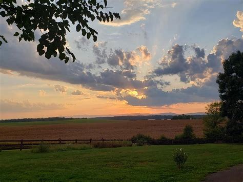 Old Trade 的图像结果