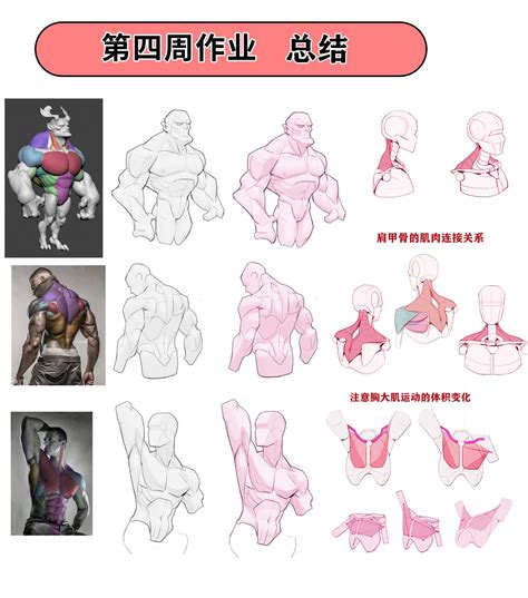 Image result for Matplotlib Elements