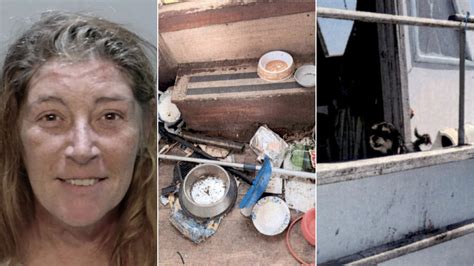 Woman accused of leaving sick dogs in ‘deplorable conditions’ on boat ...