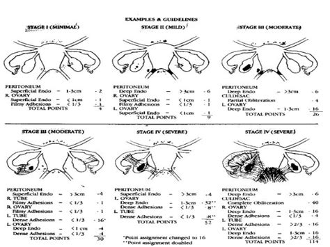 Image result for Computer Input and Output Devices Worksheet