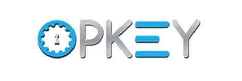 Online Advertising Company in Delhi | PPC, Adwords Agency in India