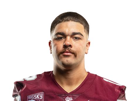 Logan Fife Career Stats - NCAAF - ESPN (IN)