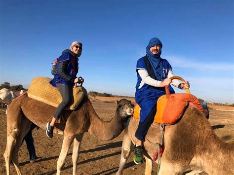 Python Mechanical Simulation 的图像结果