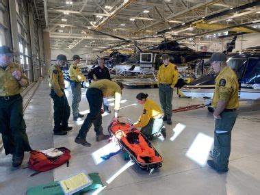 DEC Forest Rangers - Week in Review