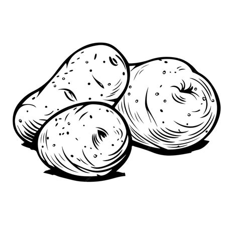 Image result for Potato Man Project Python Coding