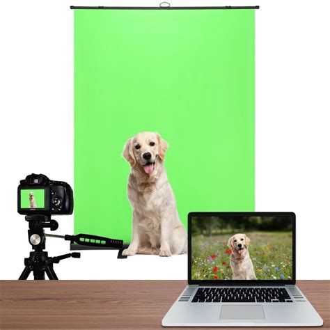 Image result for Green Screen Technology