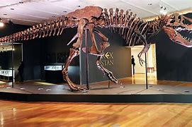 Image result for T-Rex skeleton auction