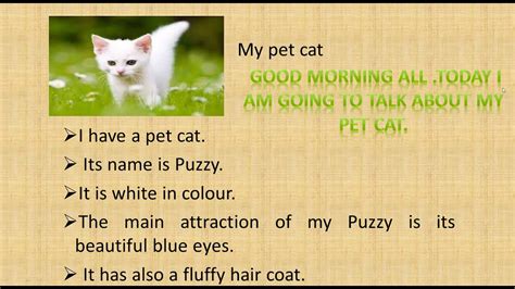 Image result for Cat Command in Shell Script