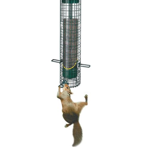 Squirrel Buster Bird Feeders - Lee Valley Tools
