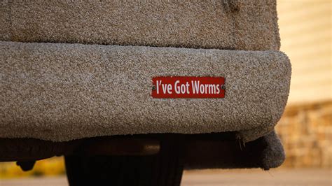 ‘Dumb & Dumber’ Dog Van for Sale Is a Replica But It’d Still Be a Fun Daily