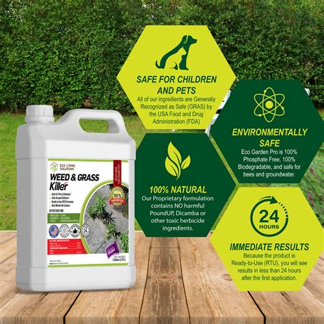 Best Organic Weed Killers - Eco Living Solutions Pet Safe Weed Killers ...
