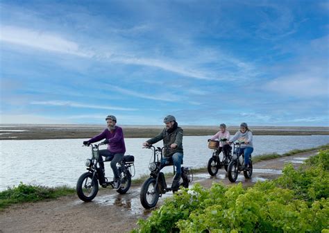 JAUNT-EBIKES Guide (2026) All You Need to Know BEFORE You Go (with Photos)