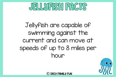 Dive Into These Facts About Jellyfish [Free Fact Cards] - Easy Family ...