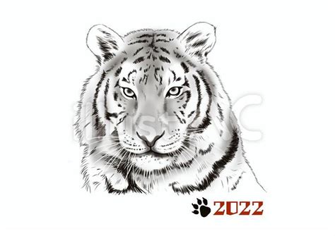 Image result for Custom CSS File