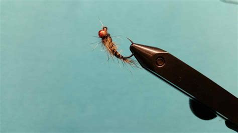 Jig Fly Patterns 的图像结果