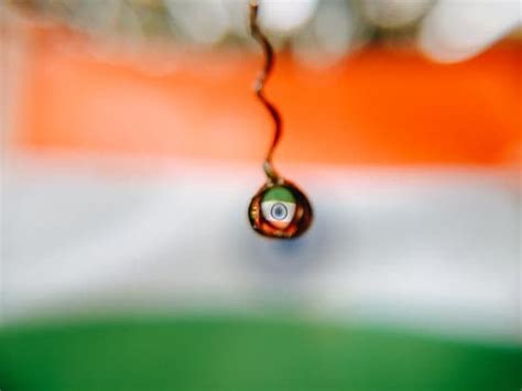 भारत नक्शा फ़ोटो और इमेज | Canva