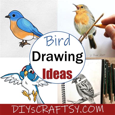 Bird Drawing Trick at Madison Cerutty blog
