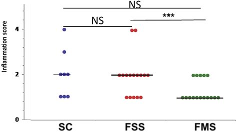 Oral Ferric Maltol Does Not Adversely Affect the Intestinal Microbiome ...