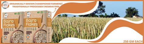 ORGANIC WISDOM-Back to Roots Bajra (Pearl Millet) Flakes | Gluten Free ...