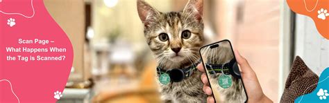 Genie Track Collar – Smart QR GPS Tracking Collar for Pets | tag8