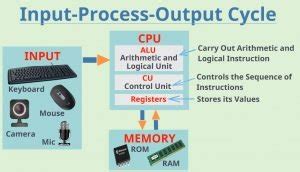 Image result for IPO Cycle Examples
