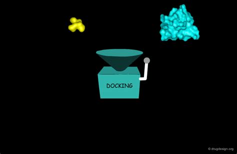 Image result for Molecular Docking Tutorial
