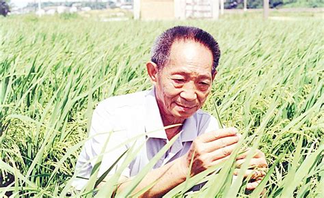 专访袁隆平院士：让杂交水稻技术造福世界(图)-搜狐新闻