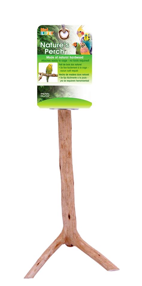Penn Plax Bird Life Natural Wooden Bird Perch Stand Platform ...
