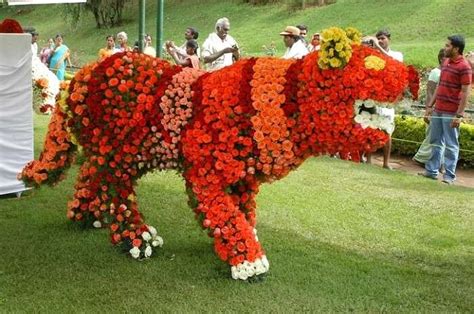 Ooty Summer Festival 2024: An Updated Guide To This Hill Festival