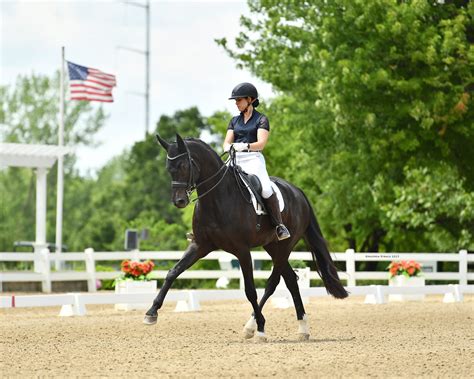 HITS Lamplight Equestrian Center - HITS Horse Shows