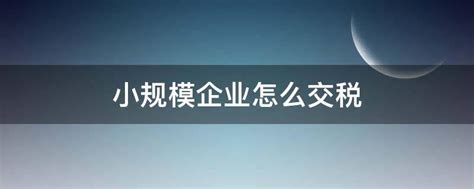 开便利店需要交税吗？怎么交，交多少？_大部分_开发票_店铺