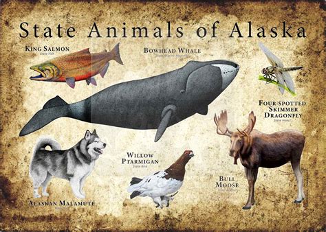Alaska State Animals Poster Print - inkart