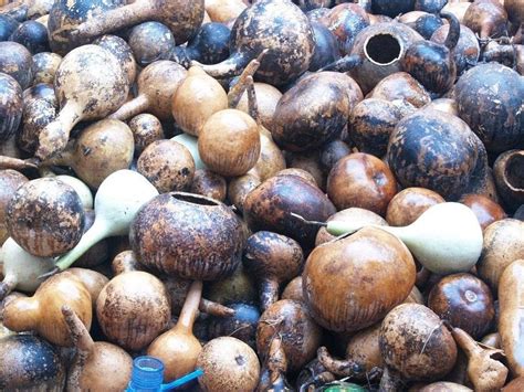 LE KABBAK - GOURD LAMPS (2025) All You Need to Know BEFORE You Go (with ...