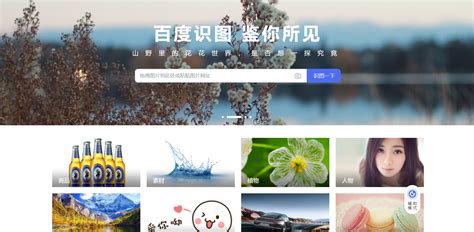 必应搜图 的图像结果