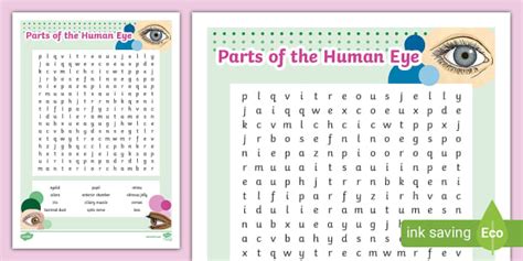 Parts of the Human Eye Word Search - Twinkl - KS2