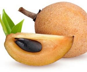 naturehils Chalisa Chikoo, Sapota, Sapodilla, Naseberry Seed, Sobeda ...