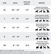 Image result for Dog Collar Size Chart